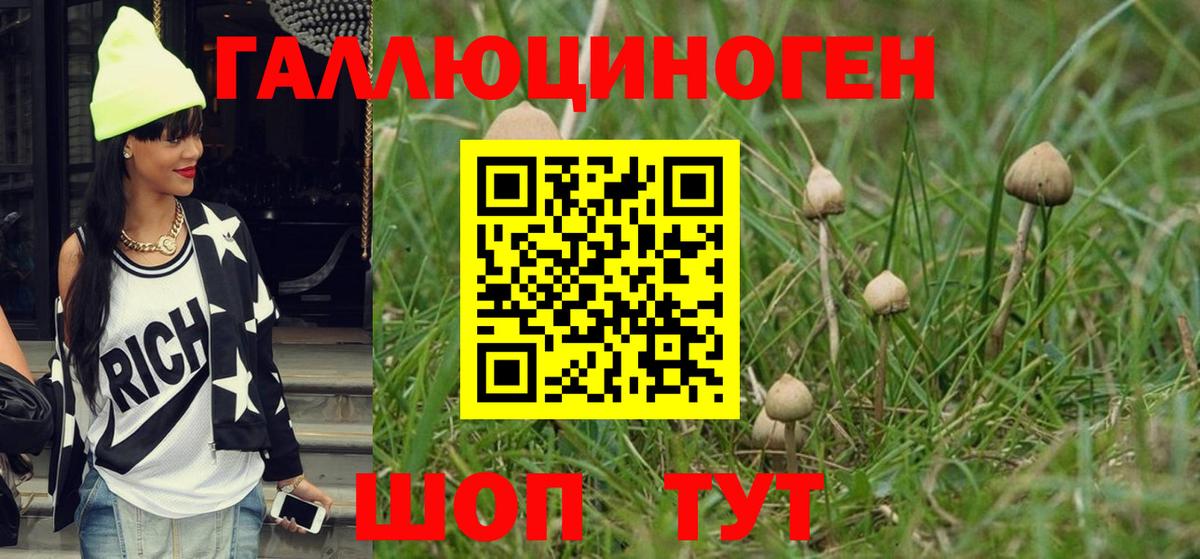 Псилоцибиновые грибы GOLDEN TEACHER  цена   Баксан  Вход с VPN 