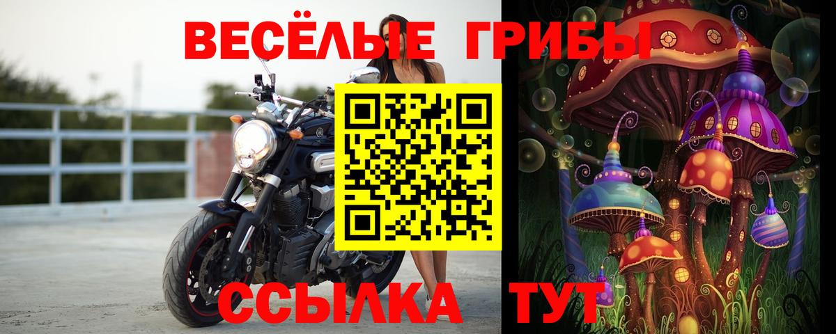 Галлюциногенные грибы MAGIC MUSHROOMS Баксан